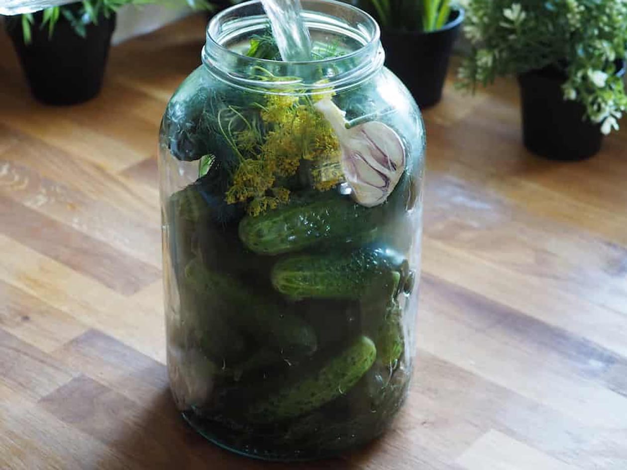 Соление огурцов холодным и горячим способами