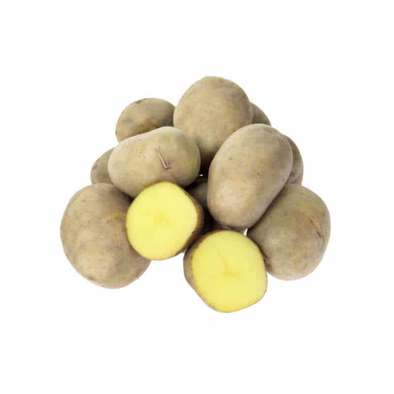 Сорта картошки с шероховатой кожурой — какие бывают?