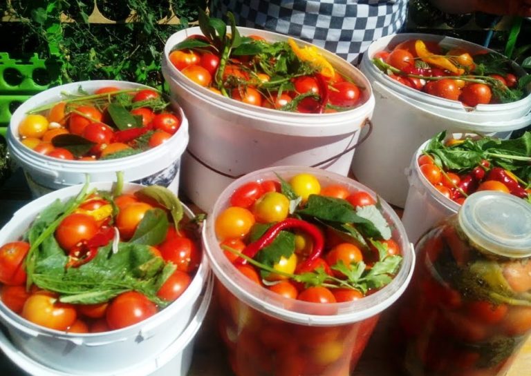 Как солить помидоры холодным способом как бочковые