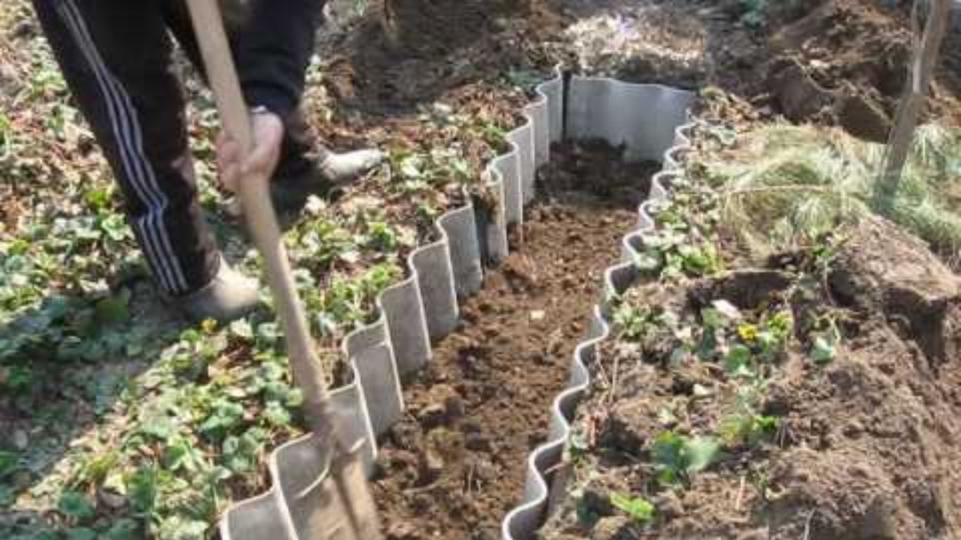 Когда можно пересаживать малину осенью на новое место