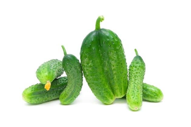 Причины и варианты решения проблемы внешнего вида огурцов