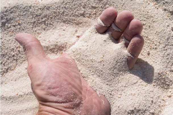 Как подготовить грядку под чеснок для посадки осенью