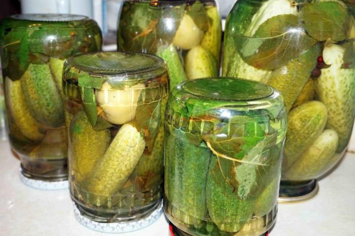 Как посолить хрустящие огурцы на зиму в литровые банки