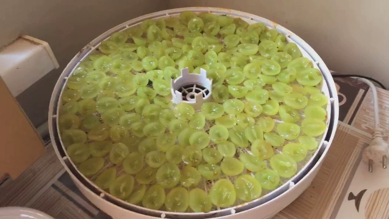 Правильная сушка винограда в домашних условиях — при какой температуре