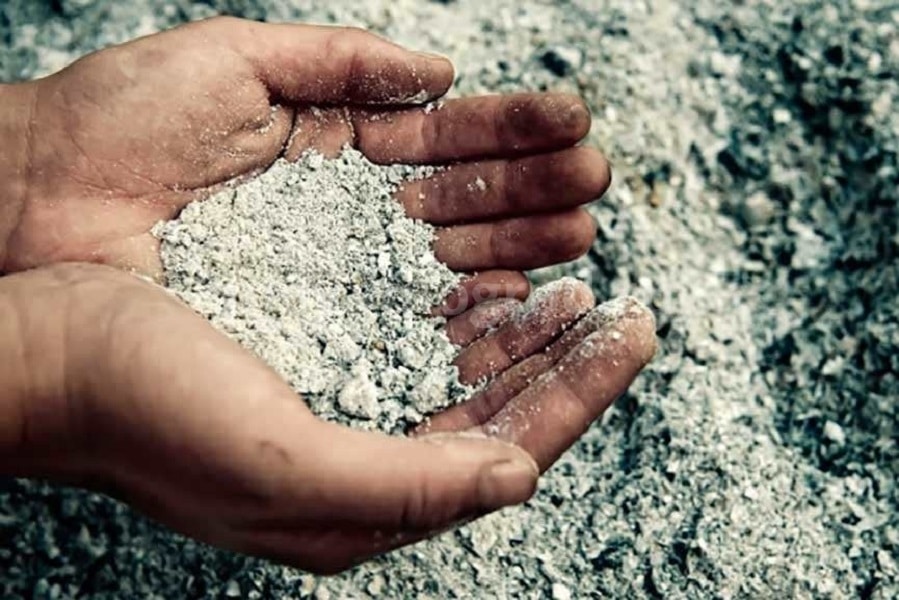 Сорт винограда Страшенский — особенности выращивания гибрида