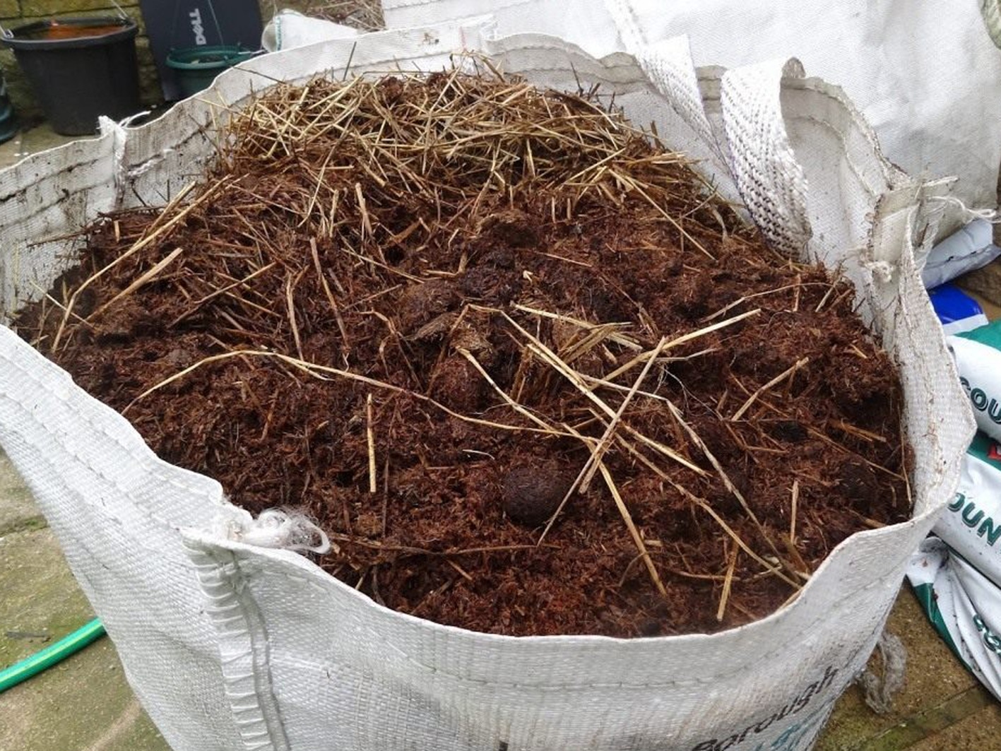 Когда и как обрезать ремонтантную малину на зиму