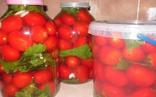 Засолка помидоров холодным способом в банках без уксуса