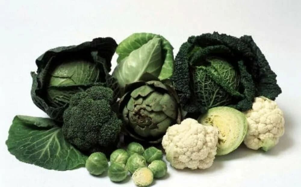 Заболевания капусты и методы борьбы с ними