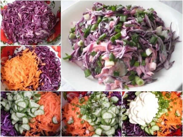 Особенности и популярные сорта краснокачанной капусты