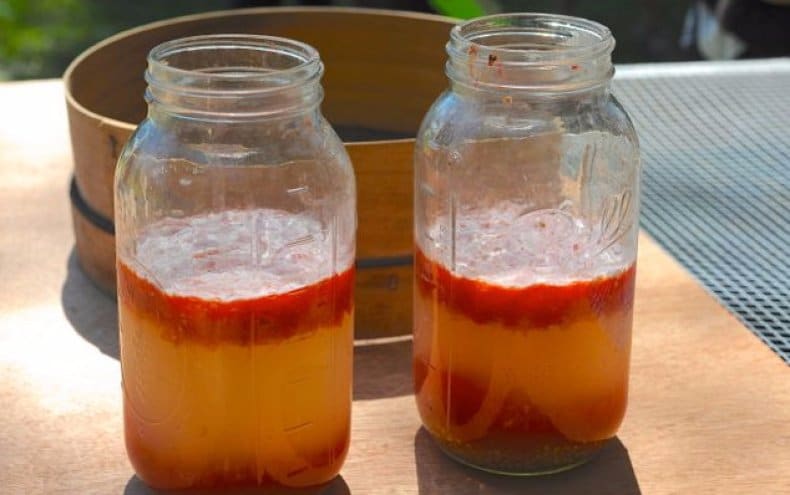 Заготовка семян томатов из собственных плодов