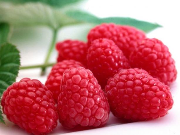 Описание ремонтантного сорта малины Атлант