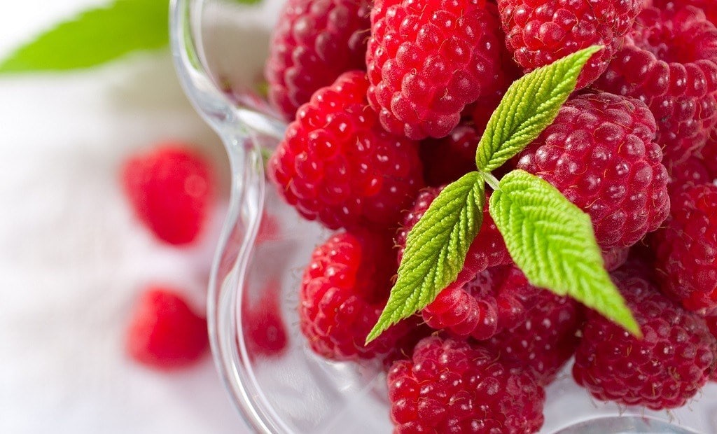 Что такое малиновое дерево и как за ним ухаживать