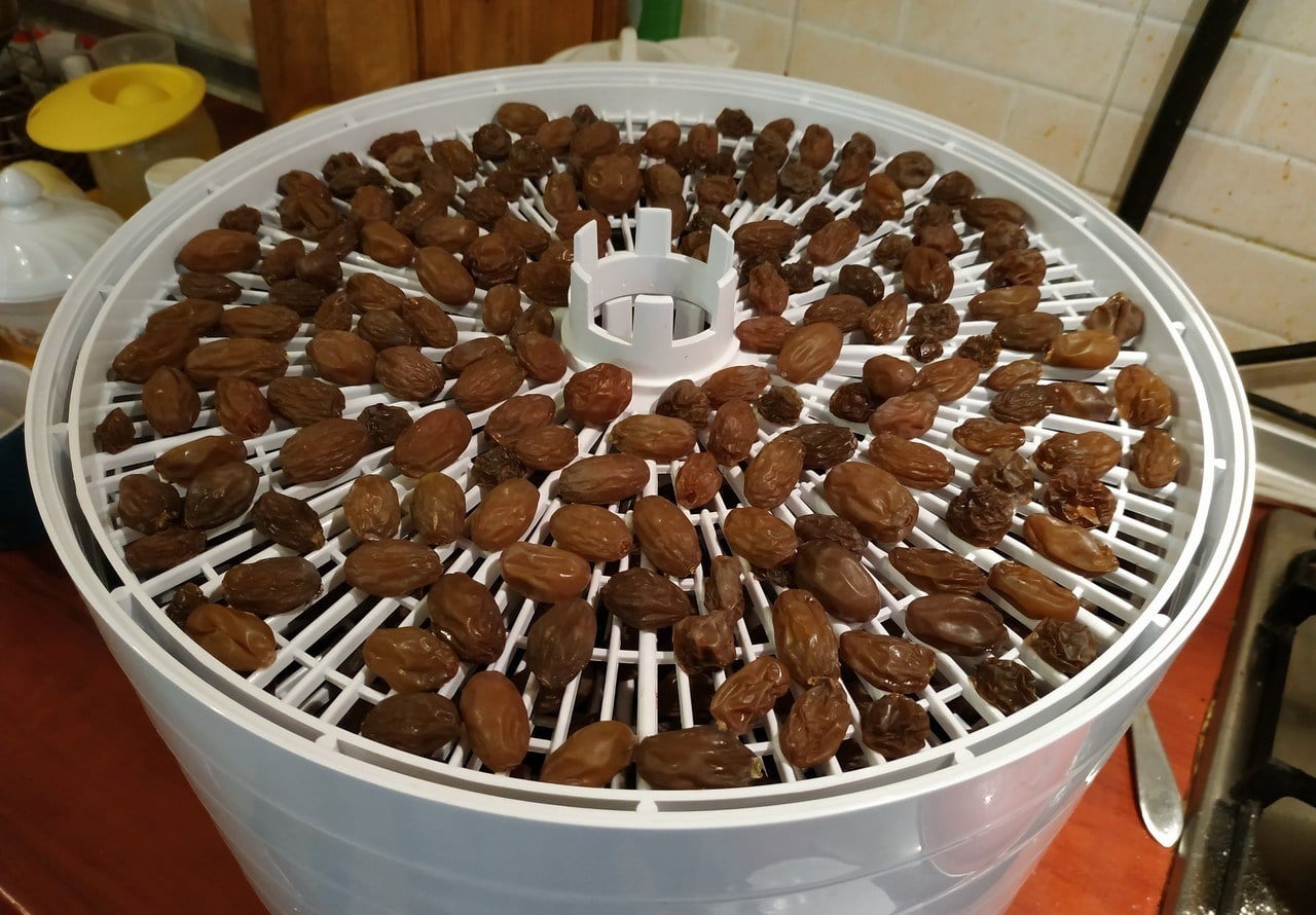 Технология приготовления изюма из винограда своими руками