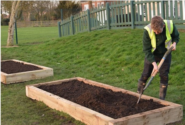 Как подготовить грядку под чеснок для посадки осенью
