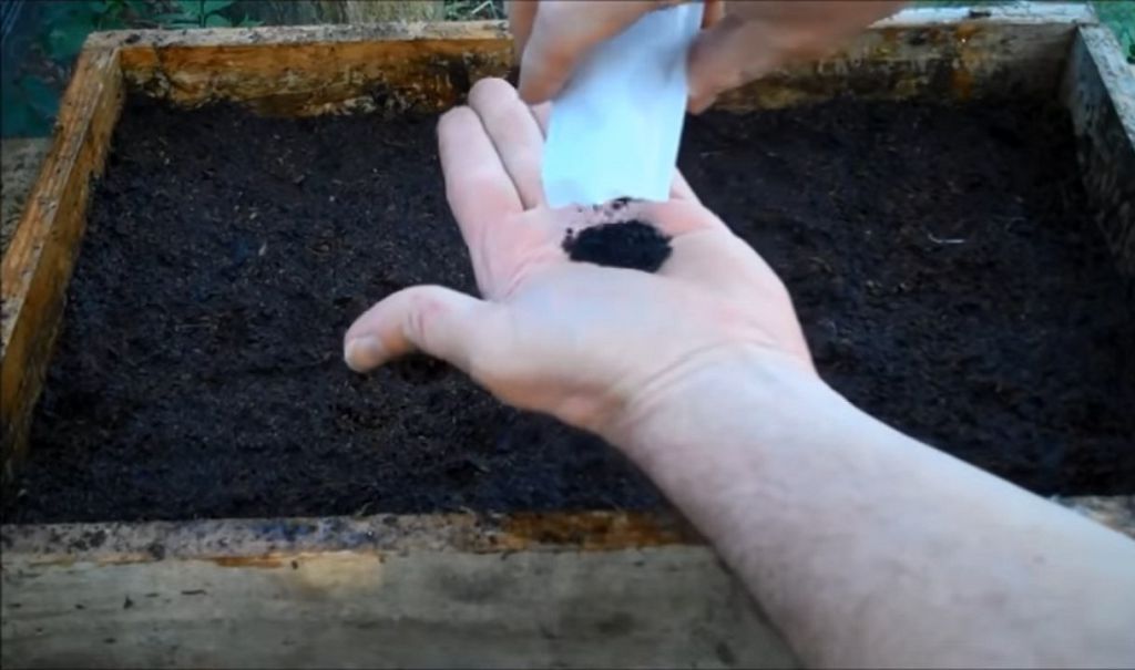 Описание шнитт-лука, как вырастить зимой в горшке, в открытом грунте