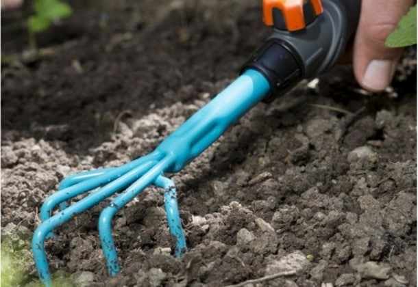 Отчего соленые огурцы пустые и мягкие внутри