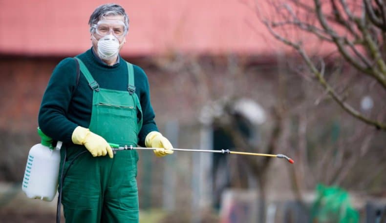 Методы и способы борьбы с тлей на огурце