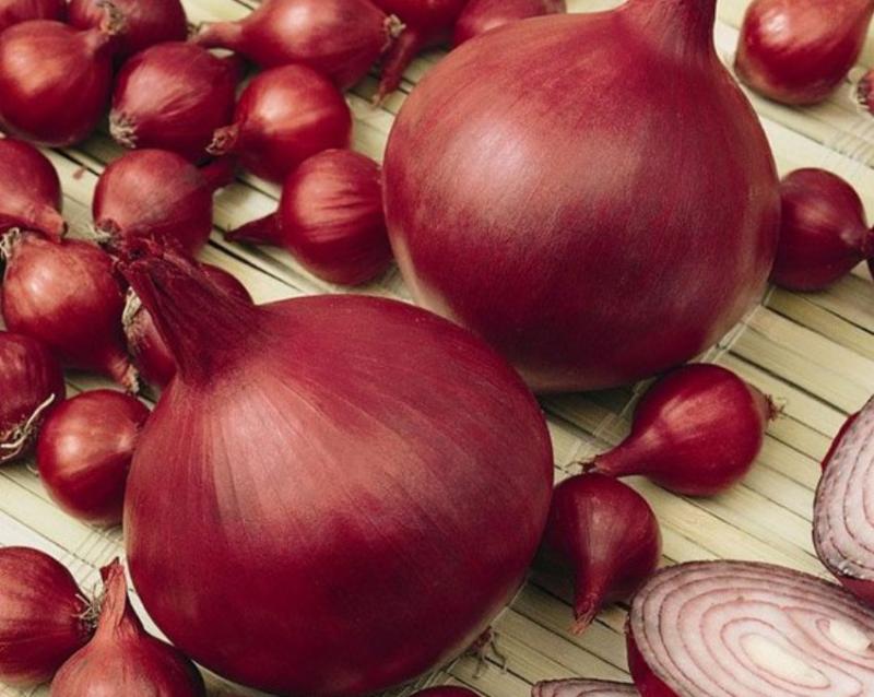 Какие сладкие сорта репчатого лука самые лучшие, описание