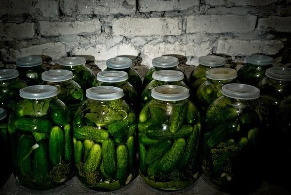Засолка бочковых огурцов в домашних условиях