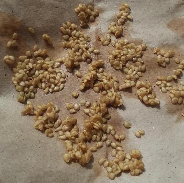 Заготовка семян томатов из собственных плодов