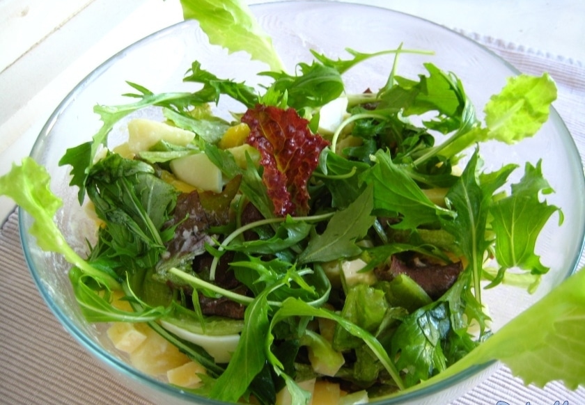 Описание и характеристика японской капусты