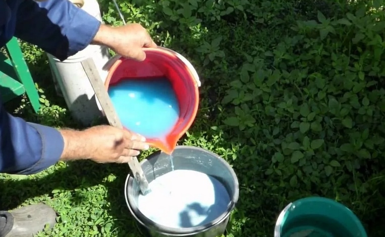 Самые распространенные заболевания и вредители малины