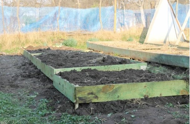 Как подготовить грядку под чеснок для посадки осенью