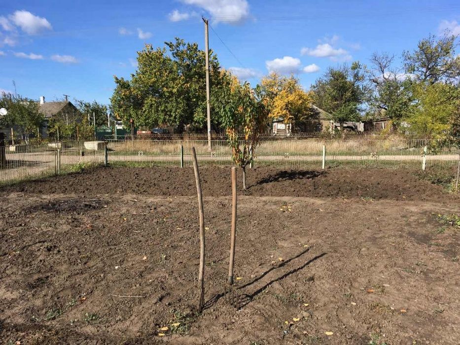 Способы избавления от слизней на капусте