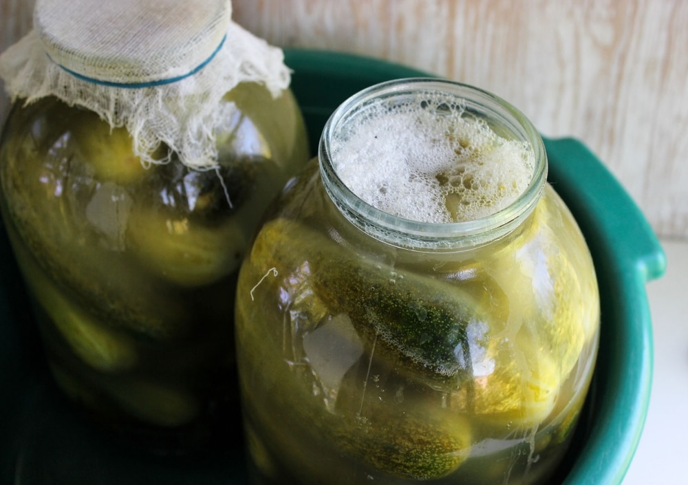 Засолка огурцов холодным способом на зиму для хранения