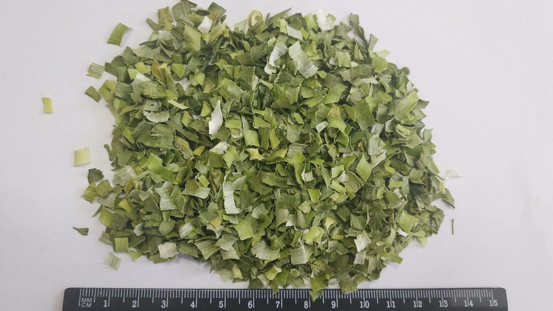 Правила высаживания лука на зелень в открытом грунте перед зимой