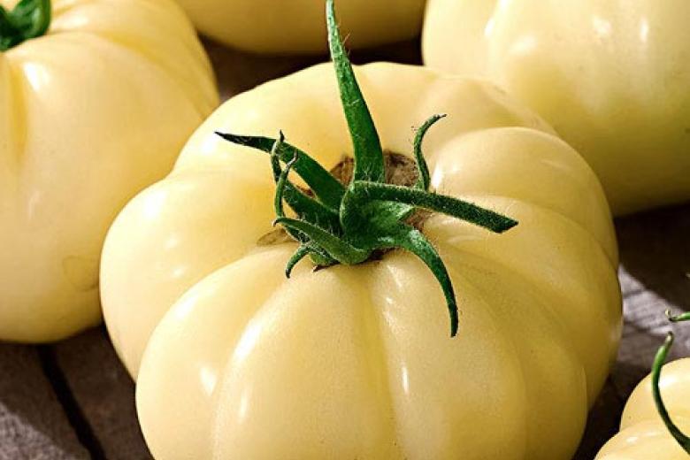 Причины белых жестких прожилок в помидоре