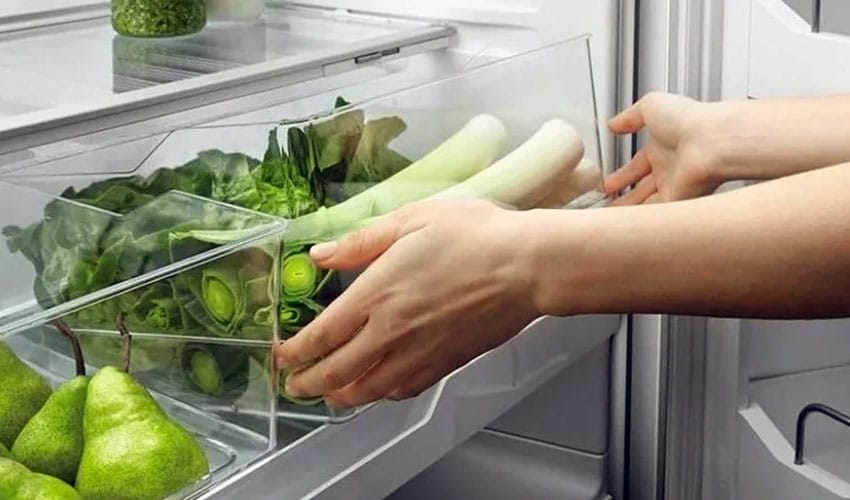 Как сохранить урожай лука-порея в квартире, после выкапывания с грядки