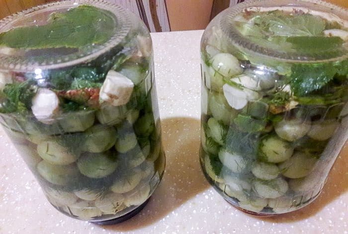 Секреты приготовления бурых помидоров на зиму