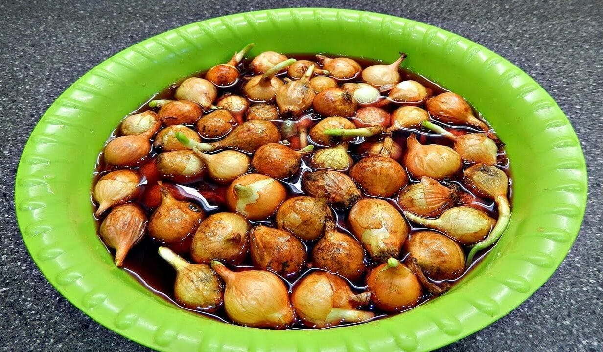 Правила хранения севка зимой в квартире перед весенней посадкой