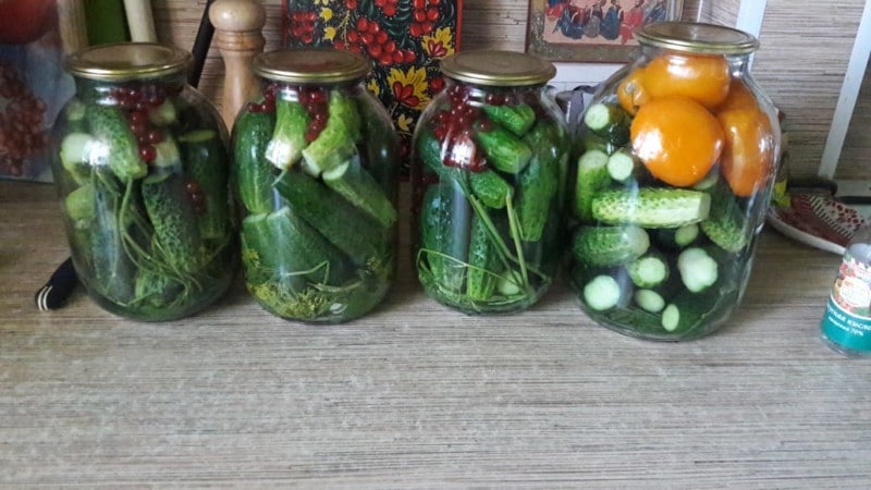 Простые рецепты из переросщих огурцов на зиму