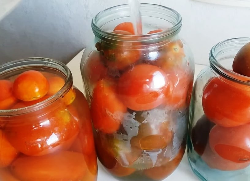Почему вздуваются банки с помидорами и что делать