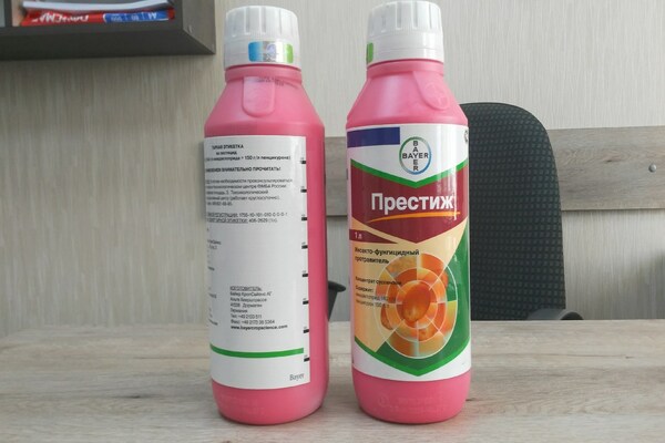 Инструкция по применению Престижа для обработки картошки