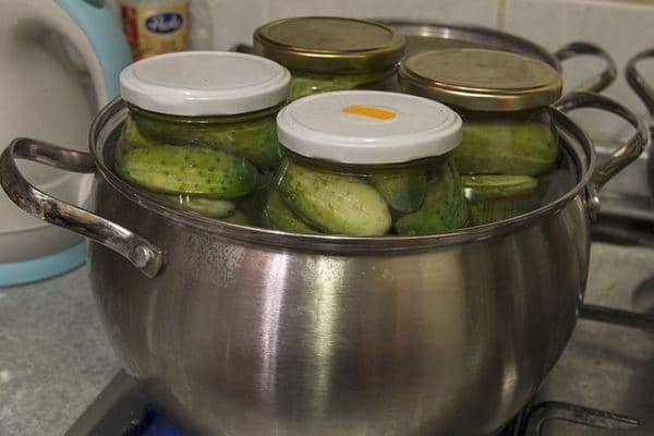 Варианты и особенности стерилизации огурцов в банке