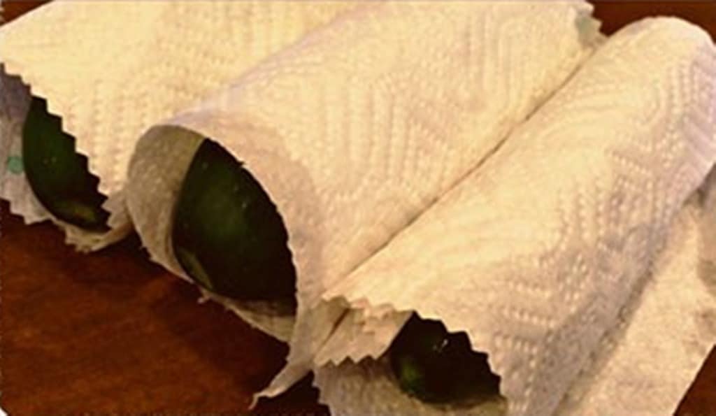 Хранение свежих огурцов в домашних условиях