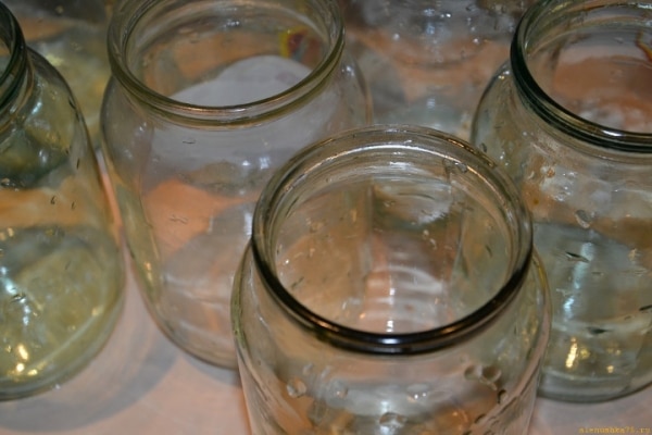 Варианты и особенности стерилизации огурцов в банке