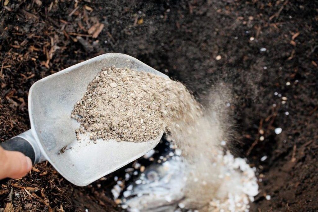 Как вырастить хороший урожай капусты Валентина