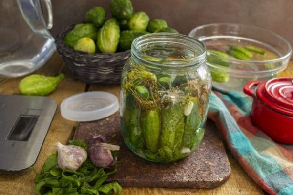 Простые рецепты закваски огурцов с помощью холодного способа