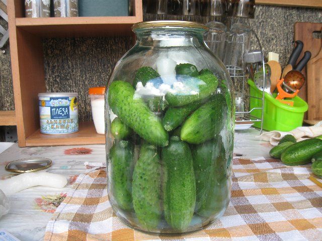 Хранение свежих огурцов в домашних условиях