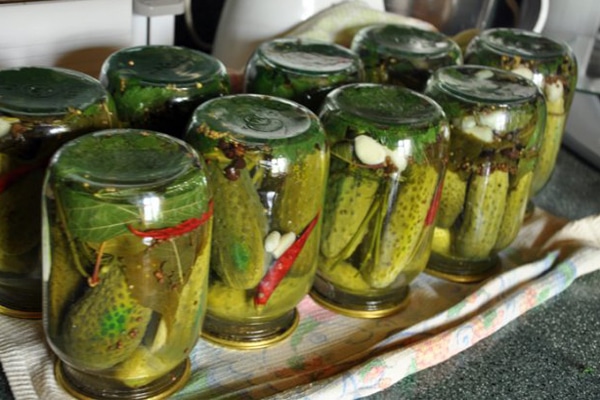 Варианты и особенности стерилизации огурцов в банке