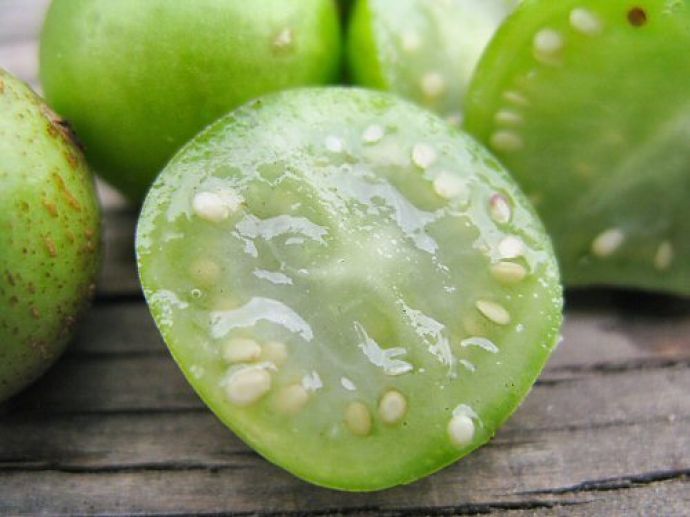 Выращивание картошки из семян в домашних условиях