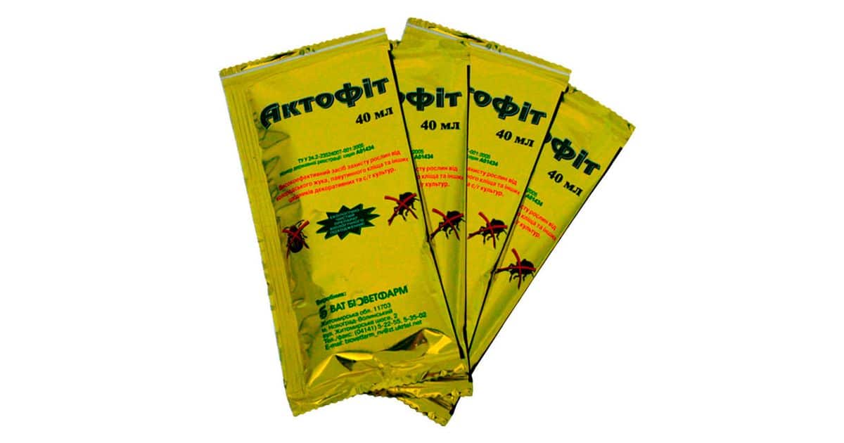 Как избавиться от паутинного клеща на огурцах