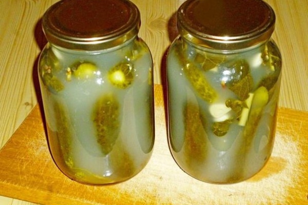 Простые рецепты закваски огурцов с помощью холодного способа