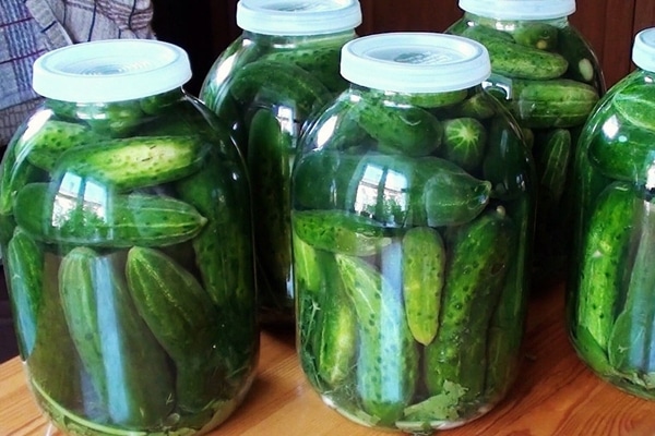 Простые рецепты закваски огурцов с помощью холодного способа