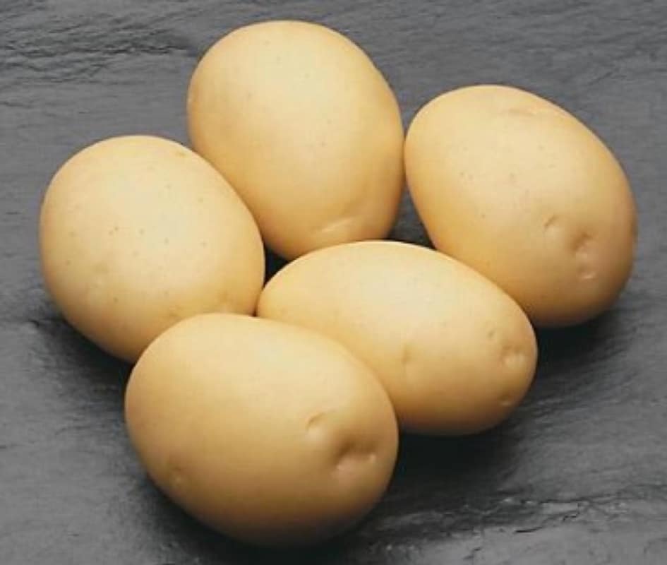 Описание сортов картофеля немецкой селекции Гранола и Витара