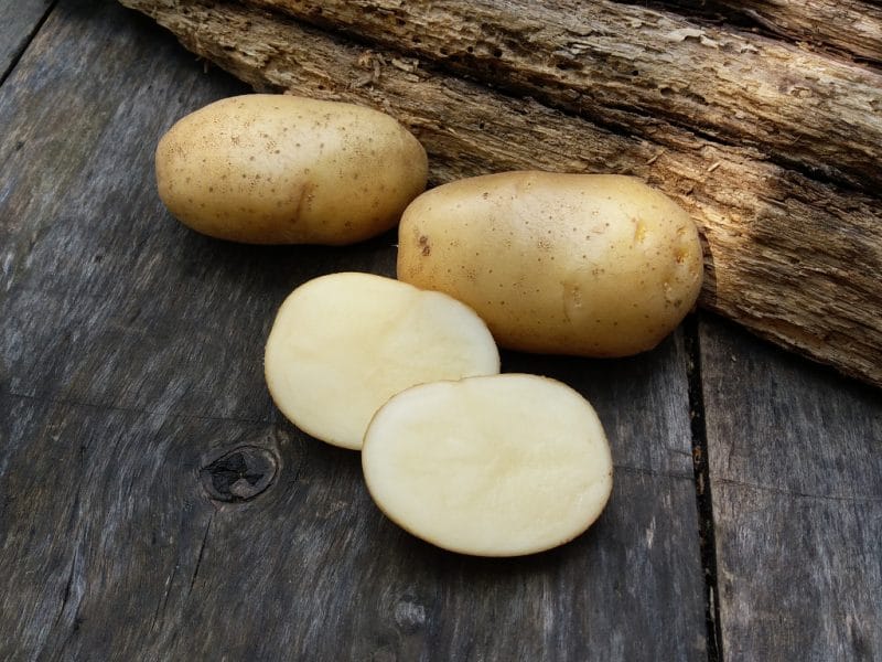 Названия лучших сортов белого картофеля